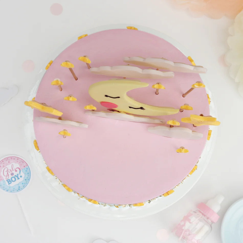 Moon and Stars Cake Thekkekara's Hot Oven Bakers